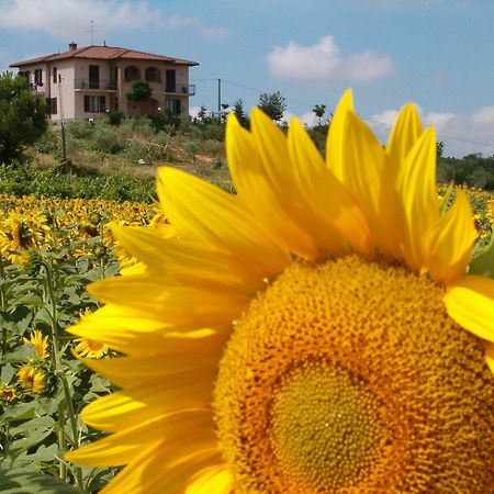 B&B Il Girasole - Rooms & House In Country - 1500 Meters From Historic Center Montepulciano Stazione Exteriör bild