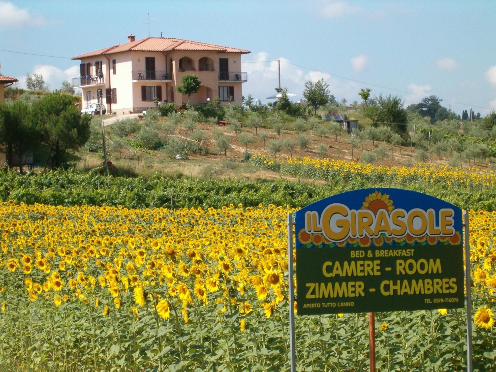 B&B Il Girasole - Rooms & House In Country - 1500 Meters From Historic Center Montepulciano Stazione Exteriör bild