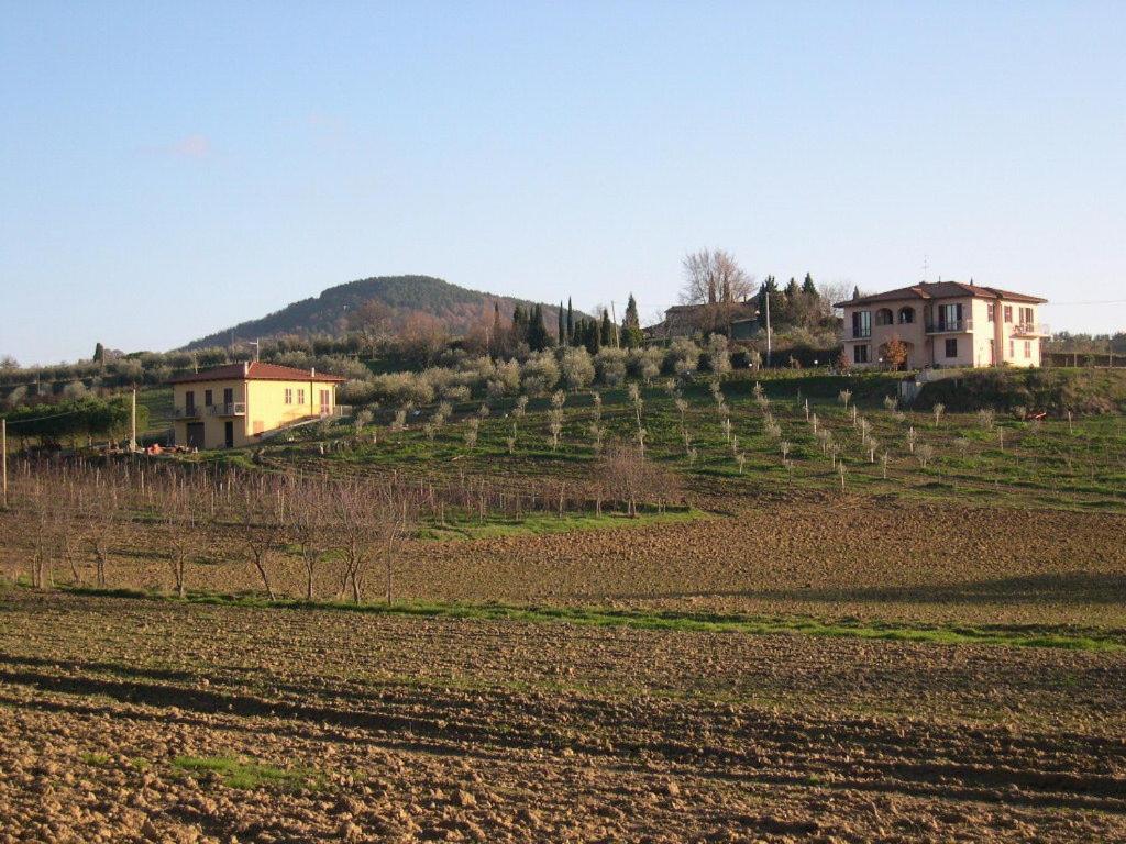 B&B Il Girasole - Rooms & House In Country - 1500 Meters From Historic Center Montepulciano Stazione Exteriör bild