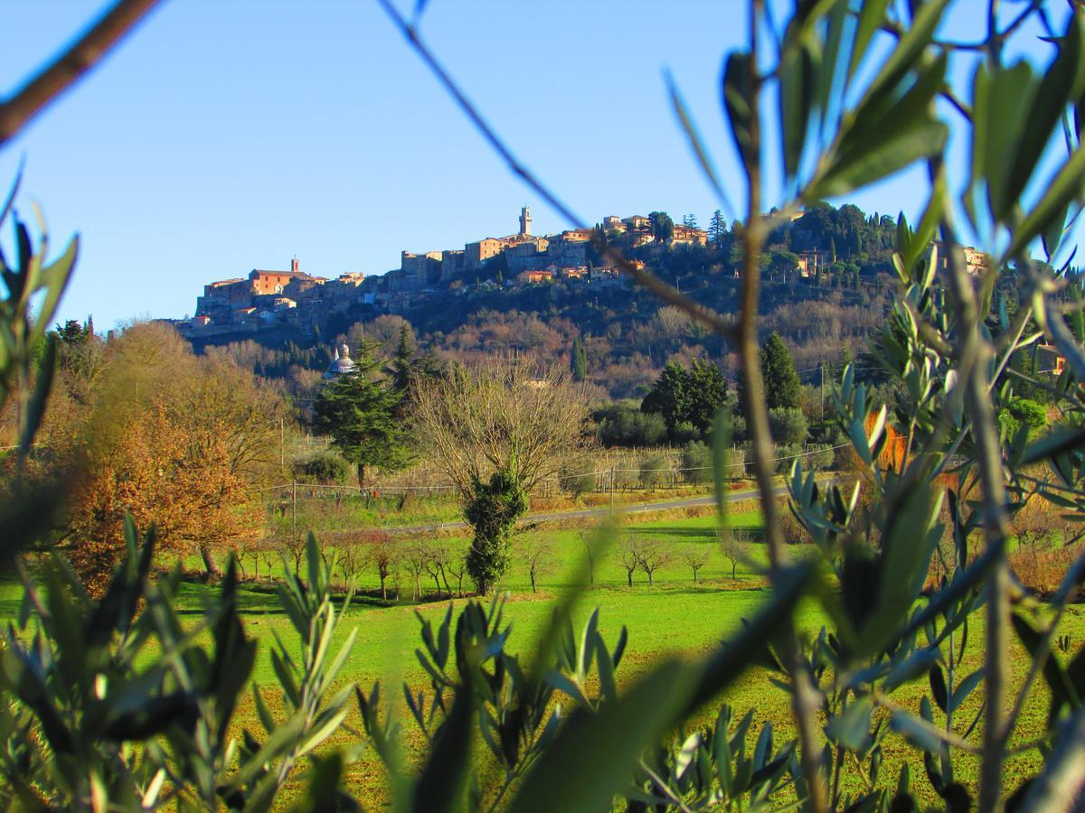 B&B Il Girasole - Rooms & House In Country - 1500 Meters From Historic Center Montepulciano Stazione Exteriör bild