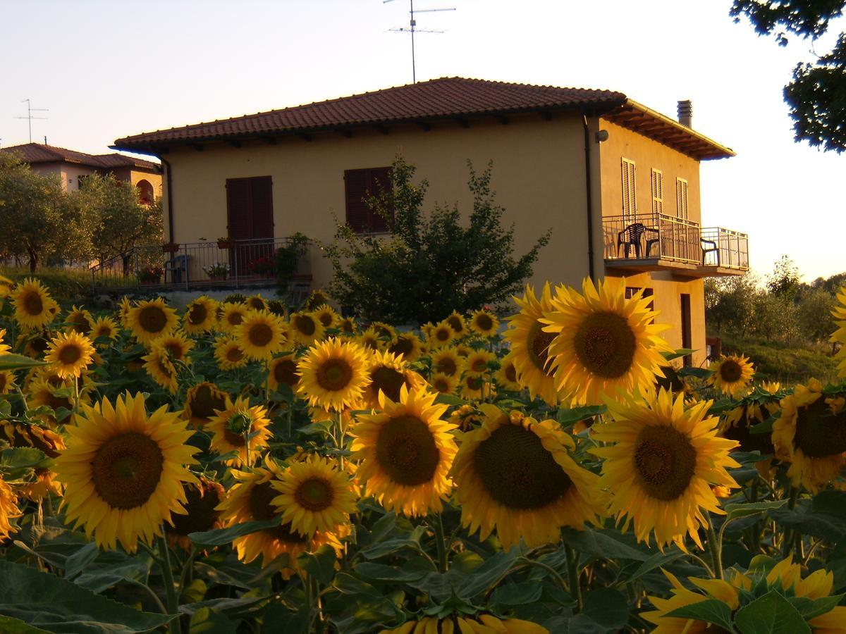 B&B Il Girasole - Rooms & House In Country - 1500 Meters From Historic Center Montepulciano Stazione Exteriör bild