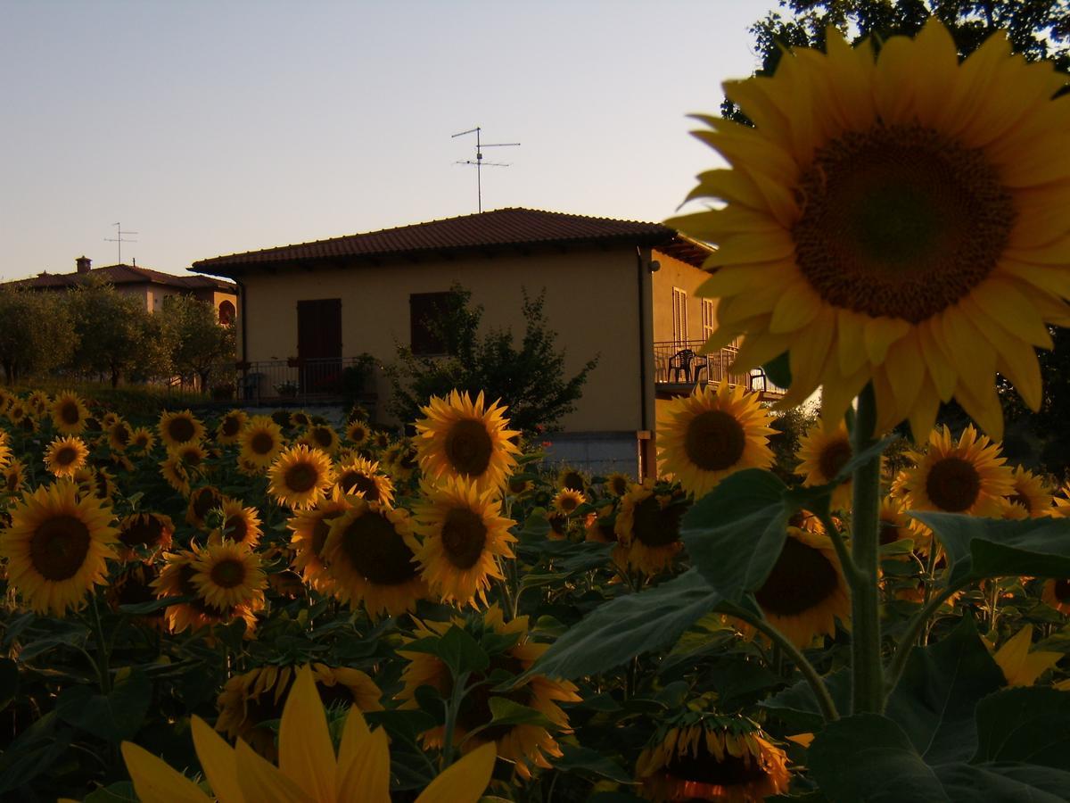 B&B Il Girasole - Rooms & House In Country - 1500 Meters From Historic Center Montepulciano Stazione Exteriör bild